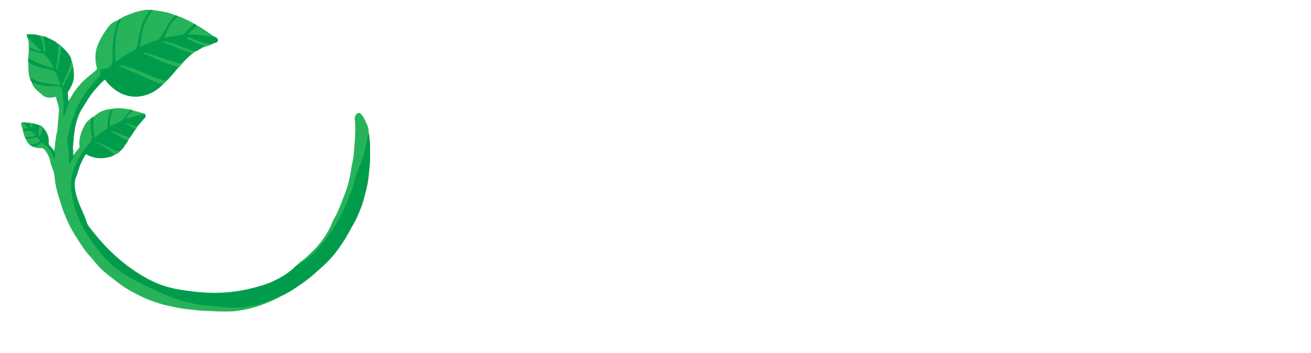 The Responsible Schools Project